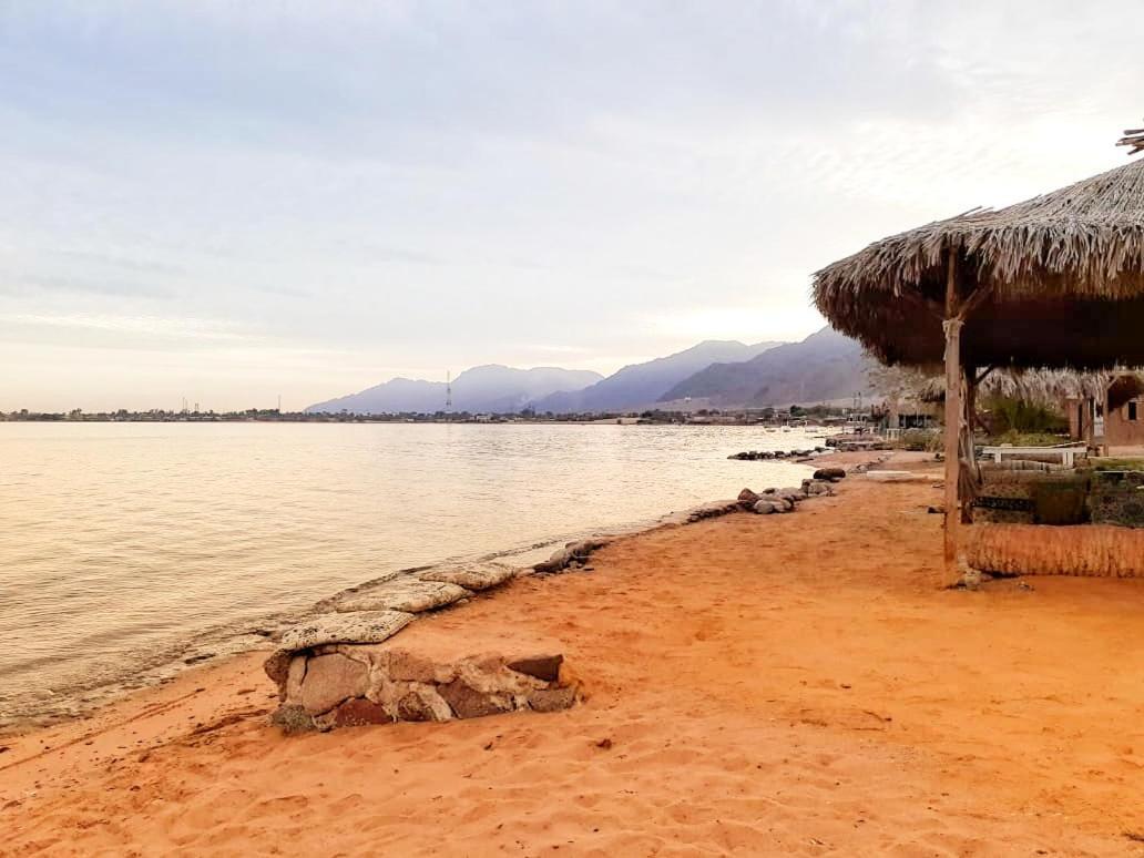 Sababa Beach Camp Bed & Breakfast Nuweiba` Exterior foto